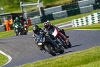 cadwell-no-limits-trackday;cadwell-park;cadwell-park-photographs;cadwell-trackday-photographs;enduro-digital-images;event-digital-images;eventdigitalimages;no-limits-trackdays;peter-wileman-photography;racing-digital-images;trackday-digital-images;trackday-photos